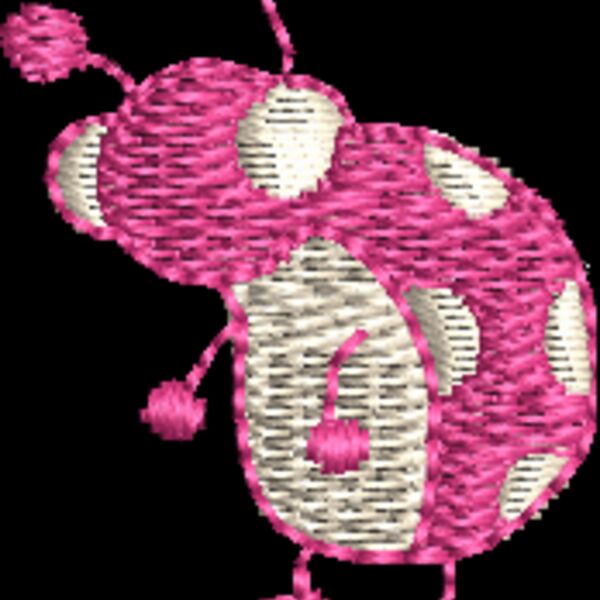 CI491 Thumbnail