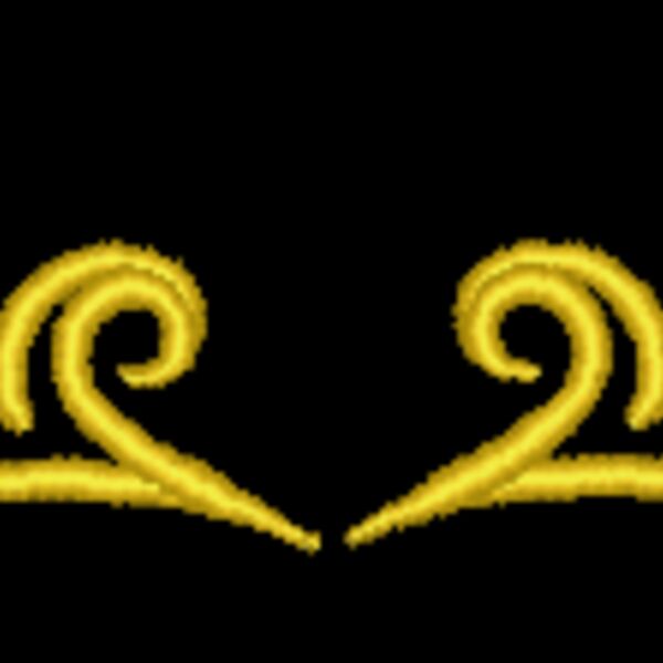NZ379 Thumbnail