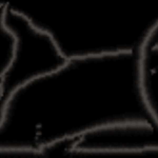 FA329 Thumbnail